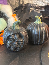 Load image into Gallery viewer, Skulls Pumpkin
