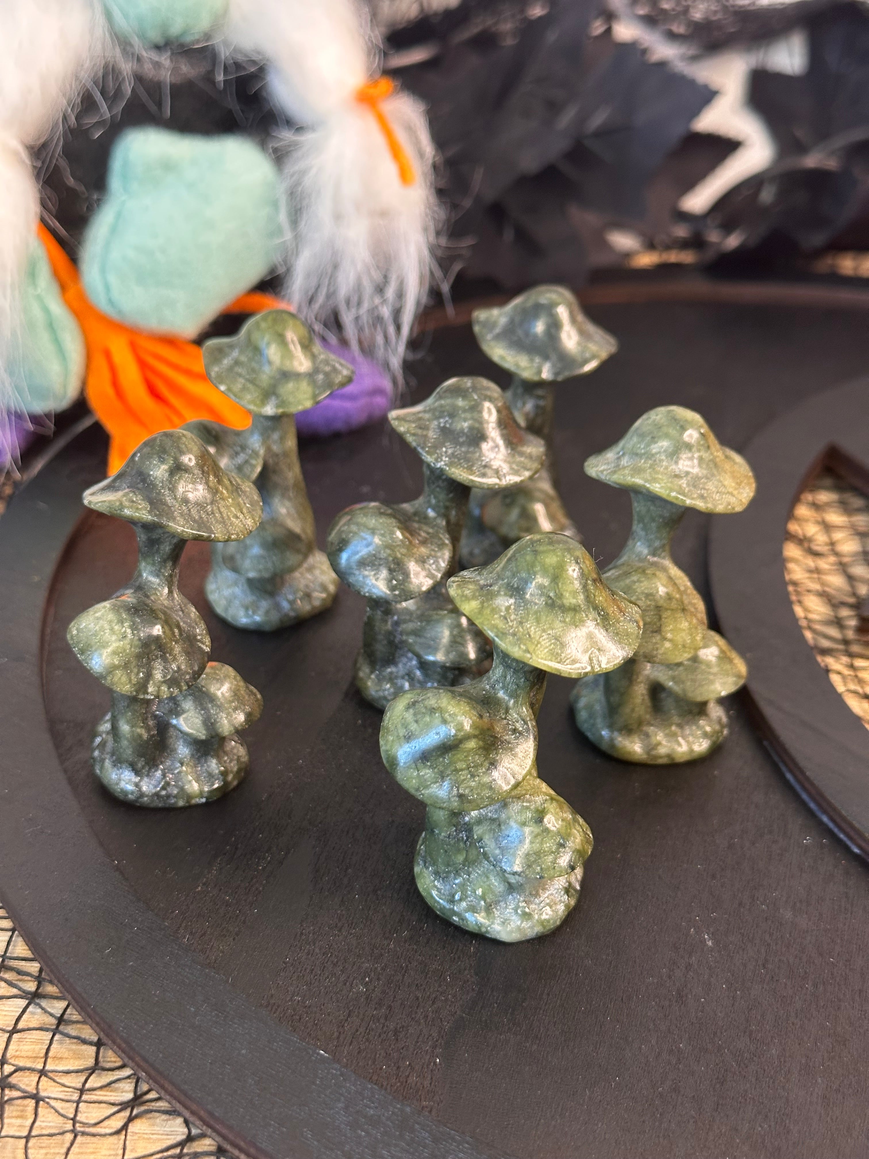 Fungus Shroom