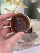 Load image into Gallery viewer, Agate Half Geode Freeforms #9
