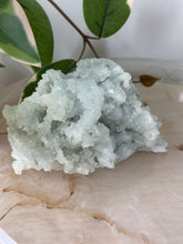 Load image into Gallery viewer, Crystal Green Apophyllite~Crystallised Sugary Prehnite Specimens #148
