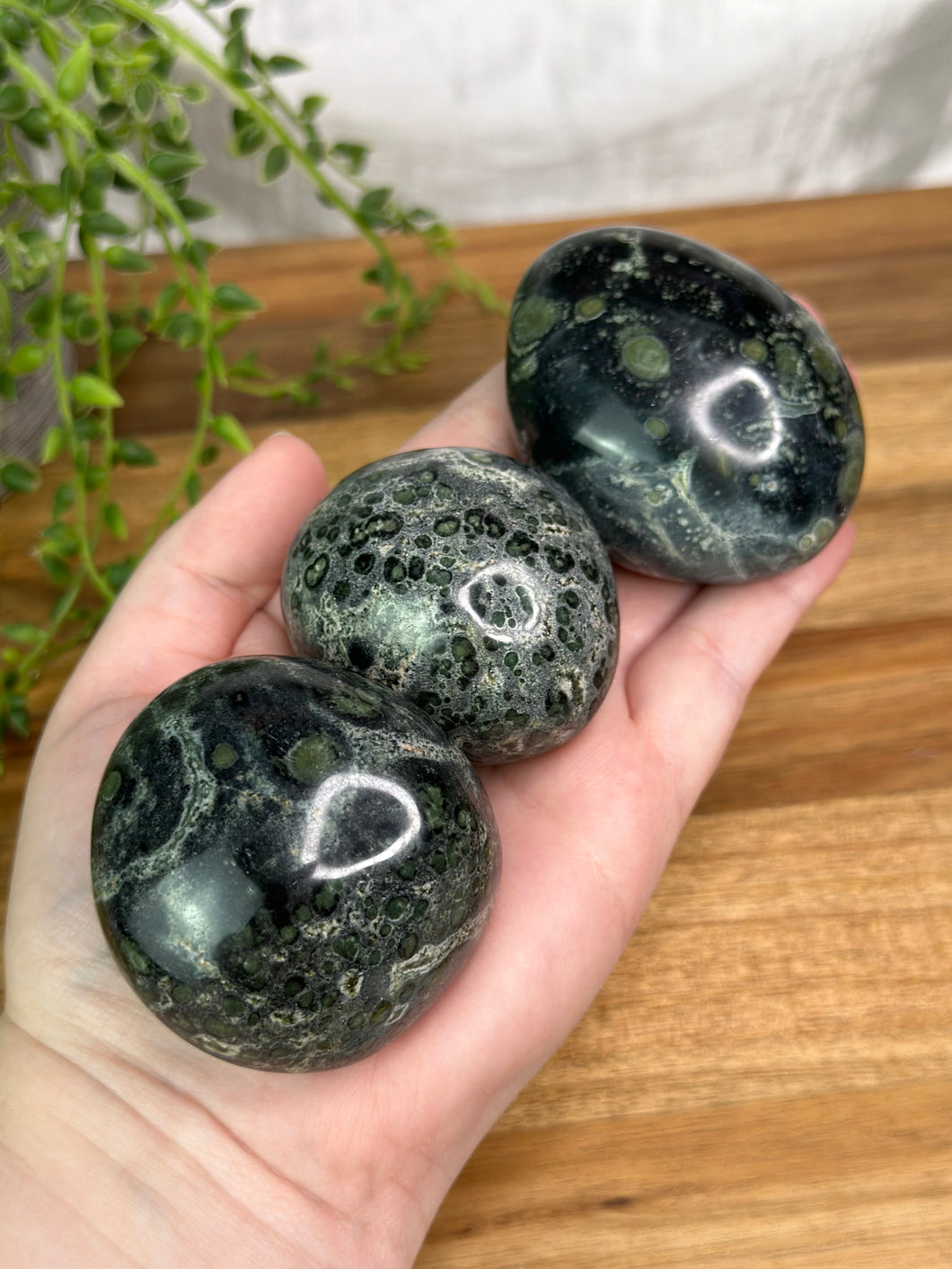 Kambaba Jasper Palmstones