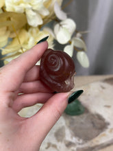 Load image into Gallery viewer, Snail Carvings
