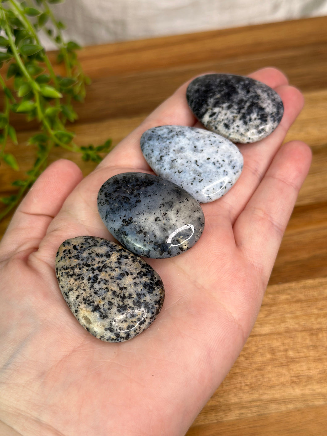 Small Dendritic Agate Flatstones