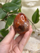 Load image into Gallery viewer, Carnelian Egg #42
