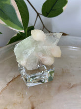 Load image into Gallery viewer, Glass Green/Pink Apophyllite~Peach Stillbite~Pink Chalcedony Natural DT #55
