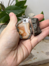 Load image into Gallery viewer, Carnelian Geode Pair~ H
