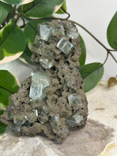 Load image into Gallery viewer, Army Green Apophyllite Cluster #161
