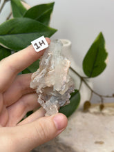 Load image into Gallery viewer, Fairy Forest Specimen 1H
