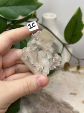 Load image into Gallery viewer, Fairy Forest Specimen 1C
