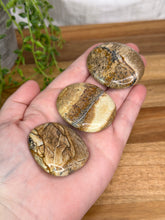 Load image into Gallery viewer, Medium Picture Jasper Flatstones
