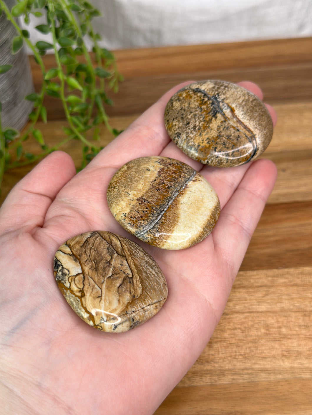 Medium Picture Jasper Flatstones