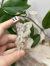 Load image into Gallery viewer, Fairy Forest Specimen 1I
