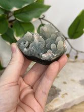 Load image into Gallery viewer, Blue Velvet Mini Cluster #79
