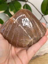 Load image into Gallery viewer, Imperfect Sunstone/Moonstone Sea Shell #40
