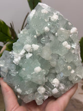 Load image into Gallery viewer, Glass Green Apophyllite + Snowballs #217
