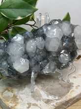 Load image into Gallery viewer, Apophyllite Cluster Slab #372
