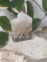 Load image into Gallery viewer, Pink Plume Agate x Moss Domino #46
