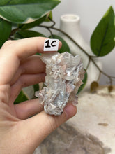 Load image into Gallery viewer, Fairy Forest Specimen 1C
