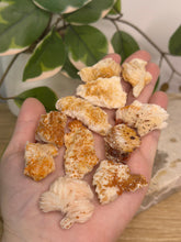 Load image into Gallery viewer, Vanadinite Specimens #2.5
