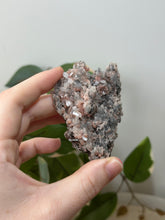 Load image into Gallery viewer, Crystallised Apophyllite~Tiny Peach Stillbite Petals~Pink/Red/Coral/Green Chalcedony Specimens #43
