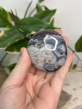 Load image into Gallery viewer, Blue/Grey Sea Jasper Palm #15A
