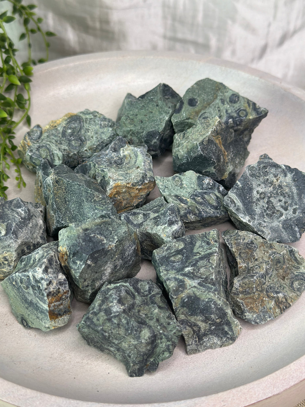 Raw Kambaba Jasper