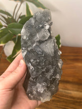 Load image into Gallery viewer, Black Glass Apophyllite Cluster #187
