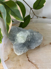 Load image into Gallery viewer, Glass Apophyllite~Sugary Blue/Silver Chalcedony Cluster #130
