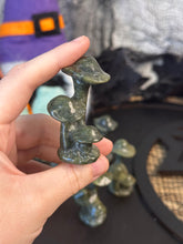 Load image into Gallery viewer, Fungus Shroom
