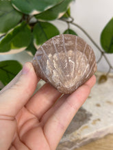 Load image into Gallery viewer, Imperfect Sunstone/Moonstone Sea Shell #15
