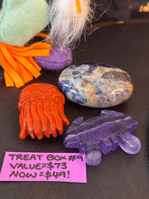 Load image into Gallery viewer, Treat Box #9
