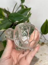 Load image into Gallery viewer, Clear Quartz Turtle
