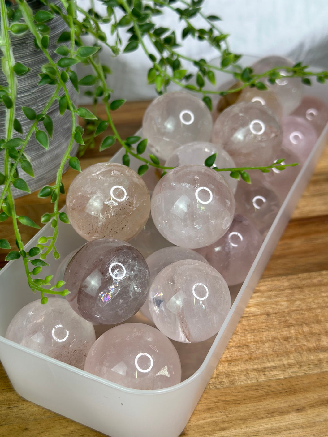 Star Rose Quartz Spheres