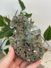 Load image into Gallery viewer, Army Green Apophyllite Cluster #119
