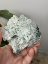 Load image into Gallery viewer, Crystal Green Apophyllite~Crystallised Sugary Prehnite Specimens #57
