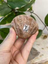 Load image into Gallery viewer, Imperfect Sunstone/Moonstone Sea Shell #20
