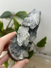 Load image into Gallery viewer, Glass Apophyllite~Sugary Blue/Silver Chalcedony Cluster #98
