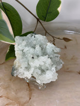 Load image into Gallery viewer, Crystal Green Apophyllite~Crystallised Sugary Prehnite Specimens #57
