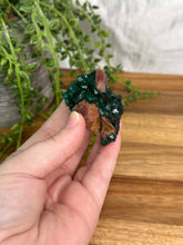 Load image into Gallery viewer, *Rare* Dioptase Specimen #177
