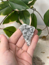 Load image into Gallery viewer, Sugary Green Apophyllite Crust #16
