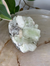 Load image into Gallery viewer, Green Apophyllite~Scolecite Sprays~Crystallised Pink/Red Stillbite~Dark Red Heulandite On a Red Chalcedony Base Cluster #117

