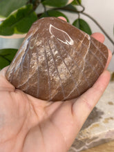 Load image into Gallery viewer, Imperfect Sunstone/Moonstone Sea Shell #40
