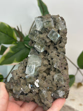 Load image into Gallery viewer, Army Green Apophyllite Cluster #161
