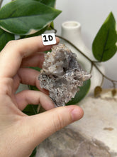Load image into Gallery viewer, Fairy Forest Specimen 1D
