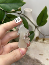 Load image into Gallery viewer, Fairy Forest Specimen 1G
