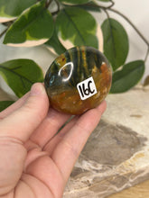 Load image into Gallery viewer, Sea Jasper Palm #16C

