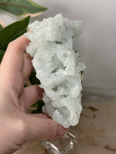 Load image into Gallery viewer, Crystal Green Apophyllite~Crystallised Sugary Prehnite Specimens #78
