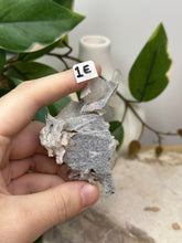 Load image into Gallery viewer, Fairy Forest Specimen 1E
