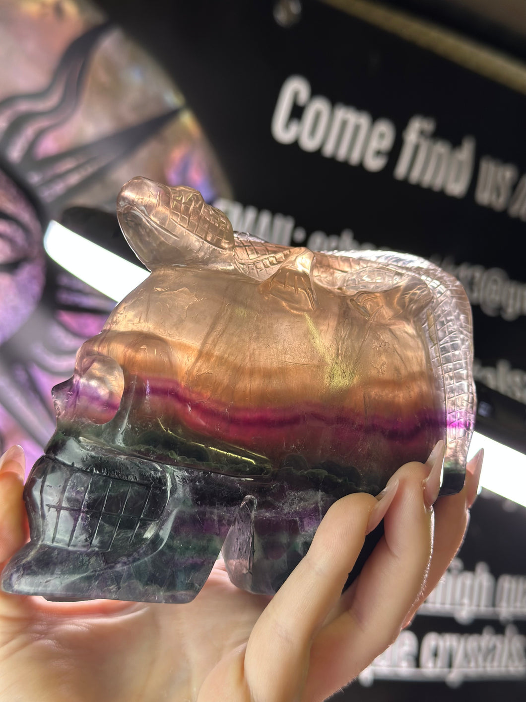 1.4+ Kilo Fluorite Skull With Lizard