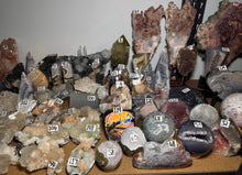 Load image into Gallery viewer, Cozy Critters Crystal Scoop ~ $199.99 OPTION

